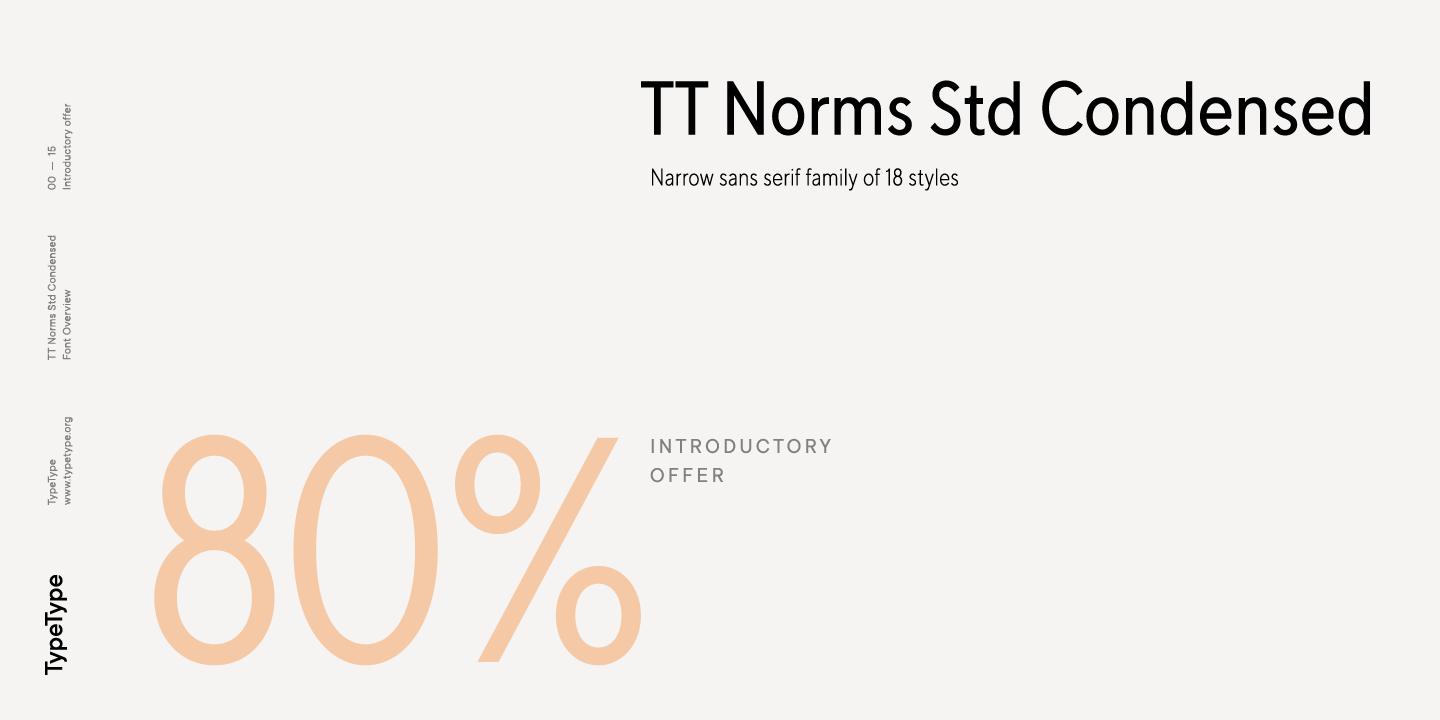 Ejemplo de fuente TT Norms Std Condensed Light Italic